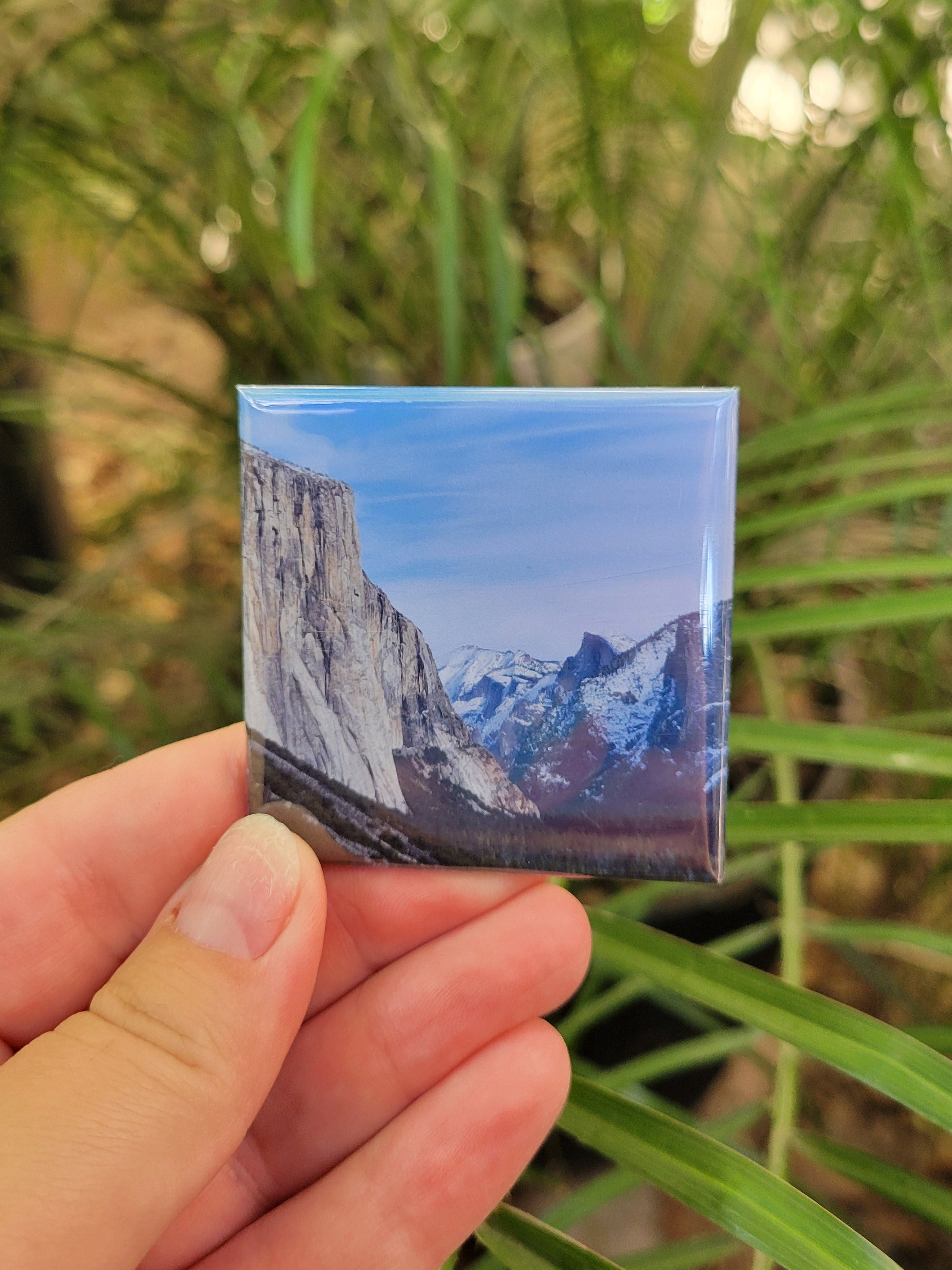 Yosemite National Park