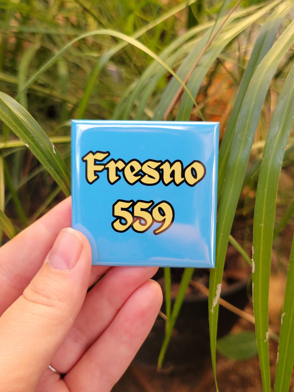 Fresno 559