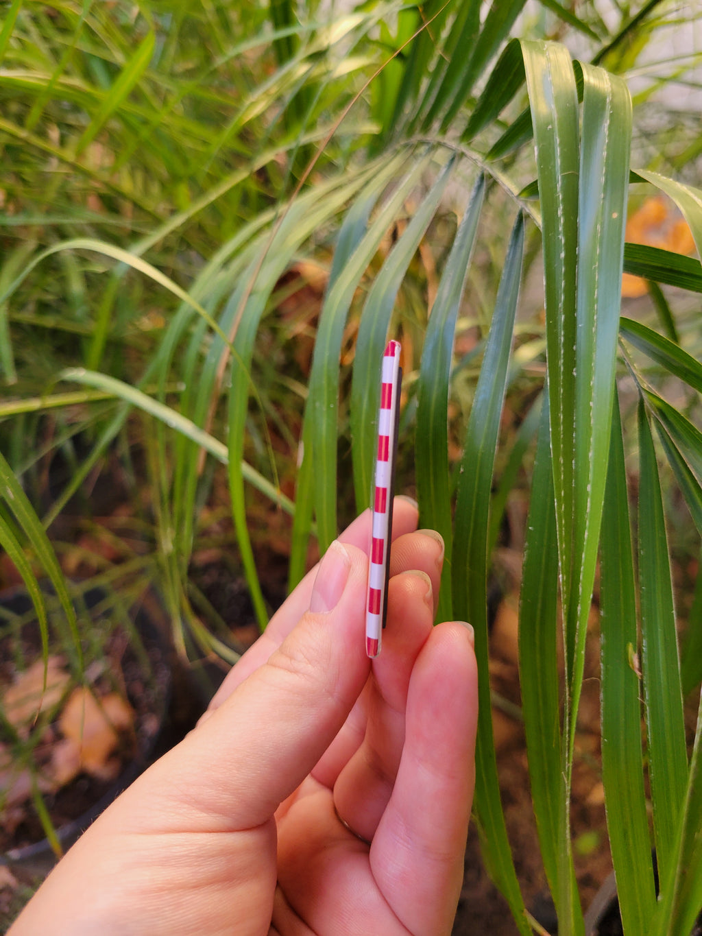 40 Bulk Custom Photo Magnets