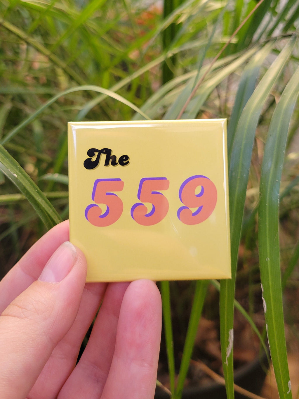 The 559